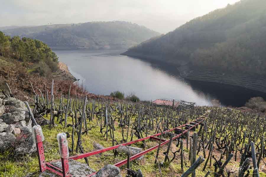 Cañones del Miño